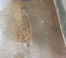 Humidité sur les murs et sol de la chambre