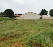 Avant d&eacute;broussaillage