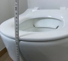 Les toilettes, hauteur 42cm