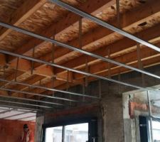 Rayages plafond