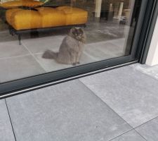 Le chat surveille car lui aussi a envie de profiter de la terrasse apparemment...