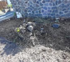 Nettoyage du terrain pour préparation de la fouille.