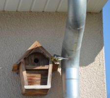 Oui j'en ai trouv&eacute;