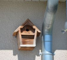 Je prends &agrave; nouveau mon envol