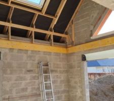 Muralieres pour ancrage du filet d'habitation