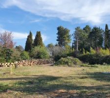 Terrain une fois les arbres coup&eacute;s