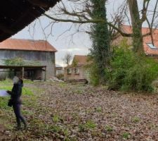 Terrain vue du jardin