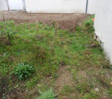 Notre terrain va jusqu'à la borne en bas à droite de la photo.