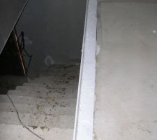 Habillage escalier 2/12