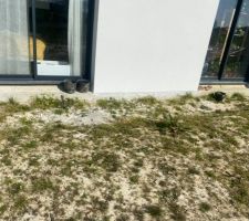 Futur trottoir &agrave; venir