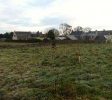 Implantation de la maison sur le terrain