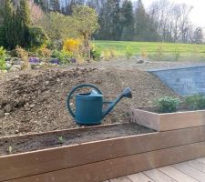 Finalisation des deux bacs de soutènement en IPE contre la piscine, dans la même veine que la terrasse. Plantation de petits orangers du Mexique et de bulbes d'agapanthes...