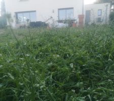 Terrain legerement en pente
