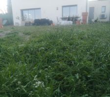 Terrain legerement en pente