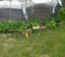 Vue d'ensemble du potager avec récupération de la structure + bâche pergola pour protéger en cas de vent et de pluie.