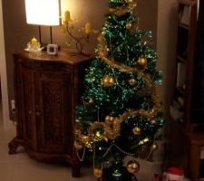 Le 1er Noël à la maison en 2010.