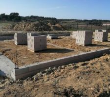 Début vide sanitaire