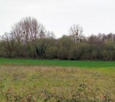 Vue du terrain depuis la route, en regardant le sud-ouest. On devine les deux terrains construits de part et d'autre.