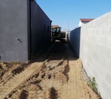 Remise en état des terres.