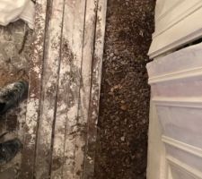 Pas de solives en dessous du parquet. Je précise qu?il y a une rivière au fond du jardin d?où la forte humidité