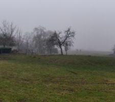 Terrain ou la maison va être construite !