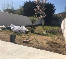 Nettoyage en cours du jardin
