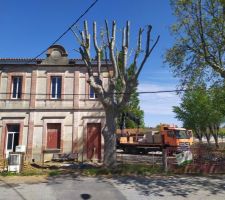 Présentation de l'école