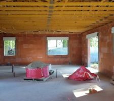 Voilà Désormais la toiture de faite, ainsi que les gouttière, satisfait
Cela fait assez grand vu de l'intérieur c'est nikel