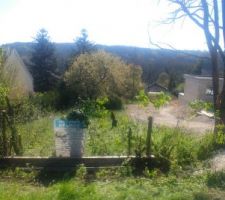Terrain avec les arbres coup&eacute;