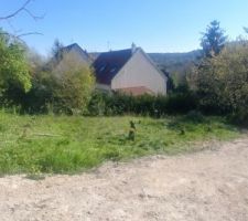 Terrain avec les arbres coup&eacute;