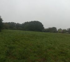 Vu depuis la route de notre futur terrain