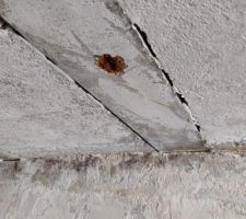 Poutrelle abim&eacute;e