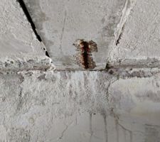 Poutrelle abim&eacute;e