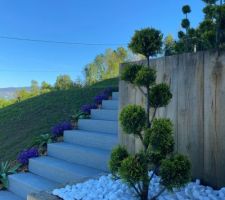 Autre vue de l'escalier