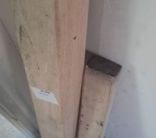 Et même de la moisissure sur l'escalier en bois!