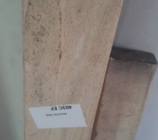 Et même de la moisissure sur l'escalier en bois!