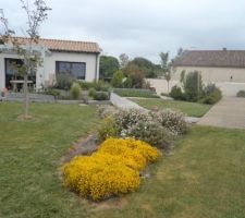 Les génestia sont en fleurs  sous le ciel nuageux decet après midi 12.05.21