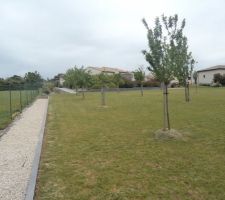 Les douze arbres fruitiers du verger poussent tant bien que mal en fonction des saisons. malmené par le vent aujourd'hui certains balancent fortement malgré les tuteurs