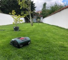 "Taz" en action pour les premières tontes