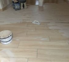 Carrelage RDC, joints en cours