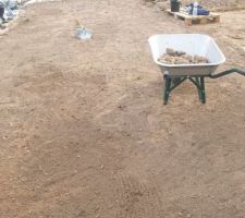 Nettoyage du terrain en cours