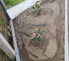 Création d'un coin fleurs pour masquer les plaques du fond du jardin.