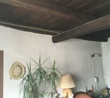 Voilà le mur porteur à supprimer qui tient le plancher du 1er. À étayer mais comment ?