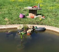 Quelques plantations dans le bassin