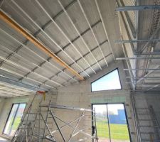 Mise en place des rails placo
Cr&eacute;ation des cadres dans l?elevation