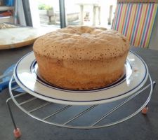 Le gâteau suedois a la sortie du four avant le dressage avec chantilly et fraises du jardin version 2021