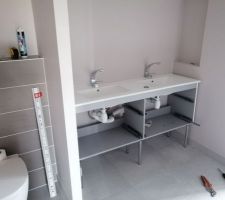 SDE parentale en cours.