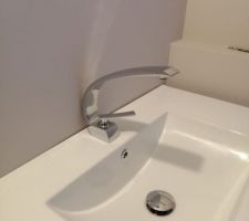 Robinets SDE parentale.