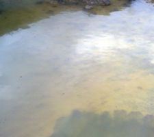 Une vraie piscine