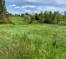 Vue d ensemble terrain